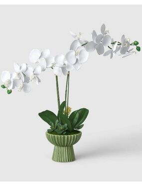 THRESHOLD NWT 22" Elevated Orchid Plant -white/green